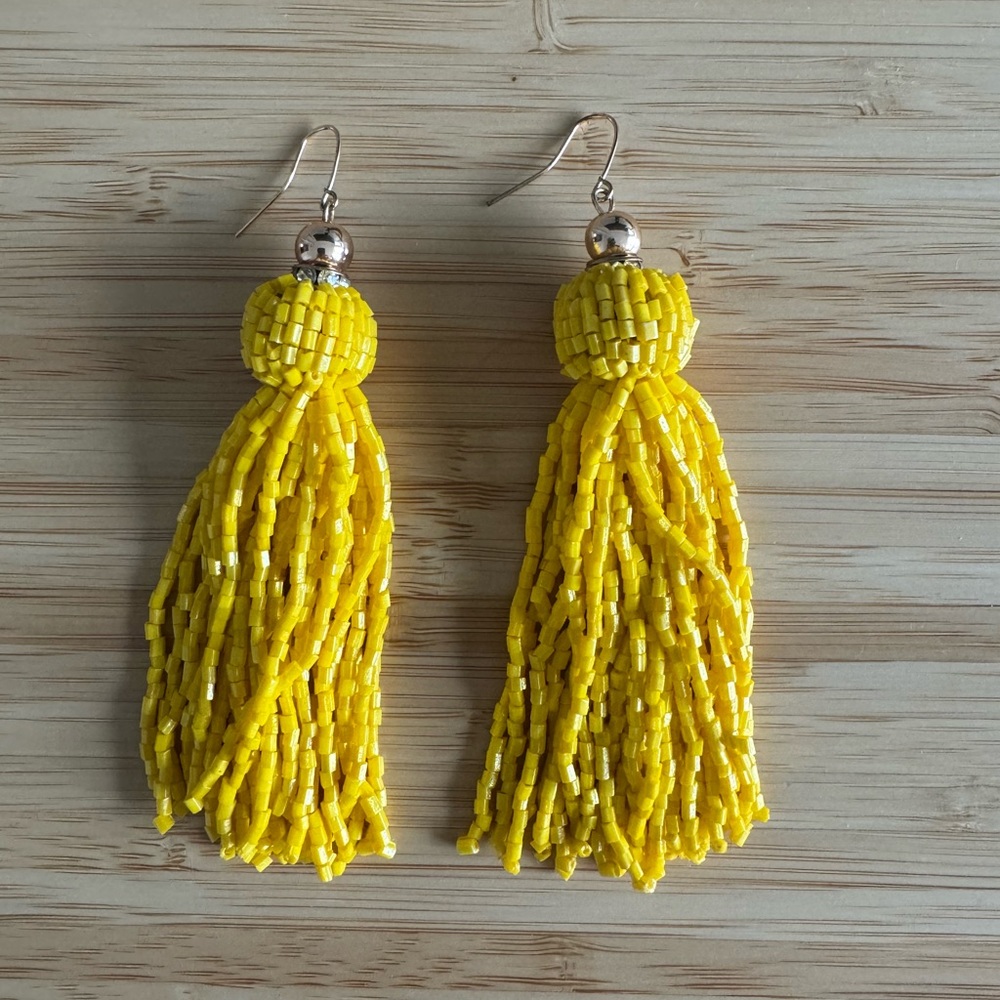 H&M Beaded Tassel Earrings